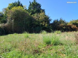 Terrain 400 m² Loupiac