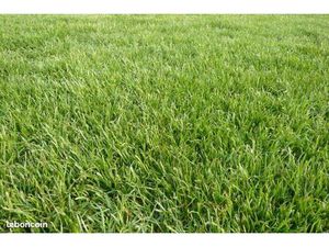 Terrain 800 m² Tresses