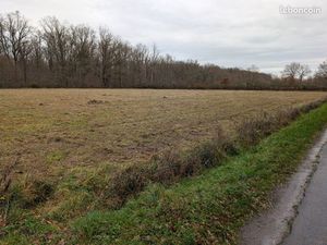 Terrain agricole 7100 m2