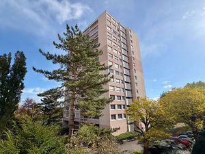 T3 DIJON Tire Pesseau