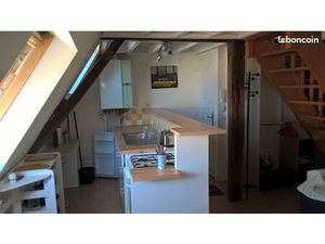 Duplex T1-Bis de charme  hypercentre Angers