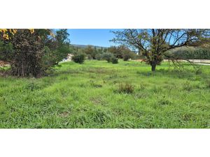 À Garéoult Terrain constructible de 3 000 m²