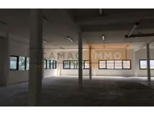 Locaux mixtes de 900m²