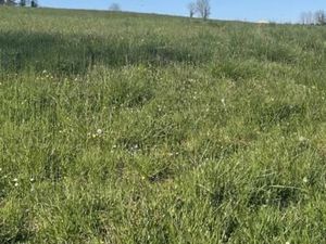 Terrain 500 m² Sauveterre De Guyenne