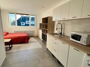 Studio meublé vue sur la cathédrale - lumineux