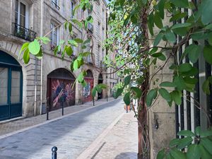 Coup de coeur assuré pour ce charmant refuge sous les toits de 48 m2!