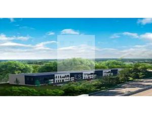 LOCAL D'ACTIVITE A VENDRE OU A LOUER