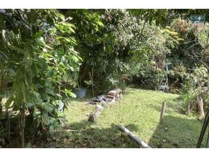 A vendre Terrain constructible avec une belle piscine - Au centre ville de la Possession