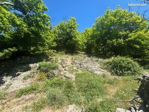 Châtaigneraie certifié biologique Sud Ardèche