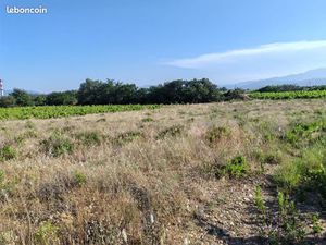 Terrain de loisirs proche Baho / st Esteve