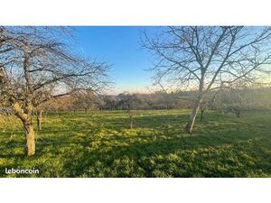 Verger de 3130 m2 / 31 ares