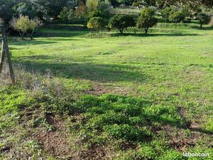 Terrain constructible