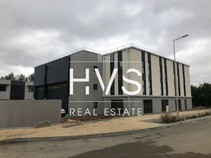 Location Local Professionnel 233m²