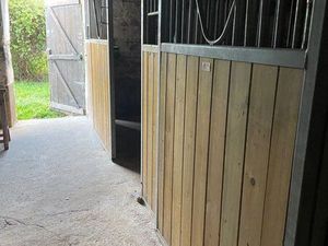 Box cheval à louer + carrière