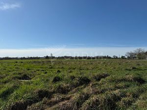 Vente terrain 2390 m² Beaulieu-sur-Loire (45630)