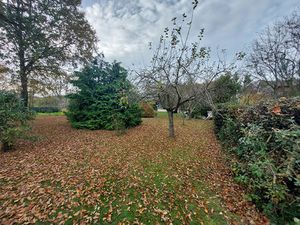 Achat Terrain 11 687m²