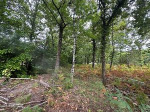 Vente terrain 2019 m² Grayan-et-l'Hôpital (33590)