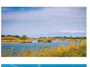 Achat : Appartement (66420)