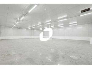 A LOUER  Locaux d'actvité avec chambres froides positives