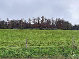 Terrain à bâtir à vendre à Rue du Roptay Naomé (VBD66087)