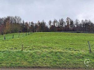 Terrain à bâtir à vendre à Rue du Roptay Naomé (VBD66088)