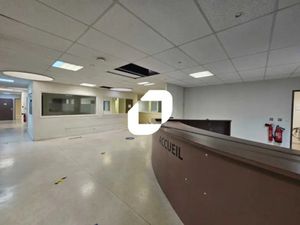 Location Commerce Paris 75013