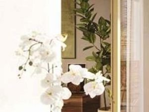 Achat : Appartement (77220)