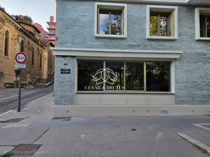 Immobilier Professionnel à louer Caluire-et-Cuire