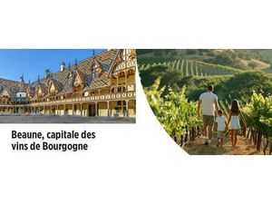 Achat : Maison (21200)