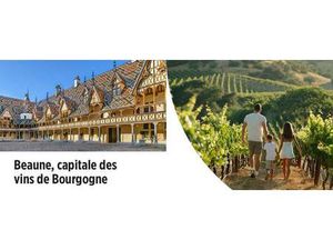 Achat : Appartement (21200)