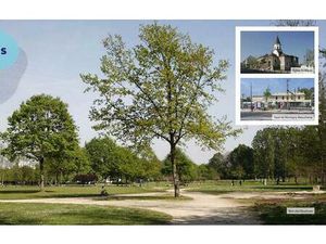 Achat : Maison (95370)