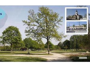 Achat : Maison (95370)