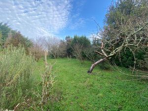 en vente Terrain non constructible 438 m² – 96 500 € |Saint-Hilaire-de-Riez