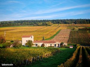 Grande maison familiale au milieu des vignes (10 min Mâcon  50min de Lyon  1H45 Genève)