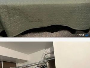 Location appartement 1 pièce 15 m² à Boussy-Saint-Antoine (91800)