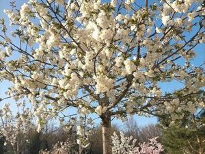 Location appartement 1 pièce 12 m² à Neuilly-sur-Marne (93330)