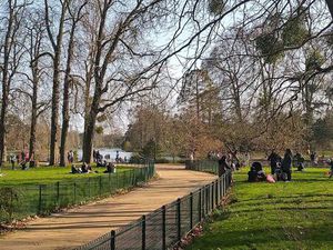 Location appartement 1 pièce 27 m² à Vincennes (94300)