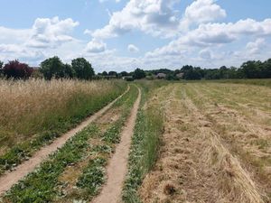 Vente terrain 721 m² à Bérat (31370)  70 900 €