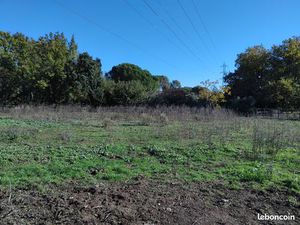 Terrain chevaux et logement