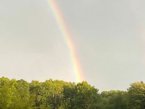 Maison en bois à la campagne