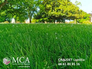 Vente terrain 696 m² à Le Porge (33680)  170 000 €