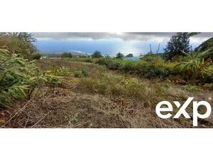 À vendre : Terrain La Chaloupe Saint-Leu Vue panoramique s