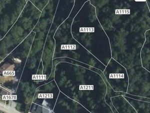 2 parcelles de bois à Savignac