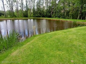Étang  cabane et bois à GIÈVRES