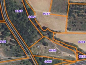 Forêt de chênes/ terrain