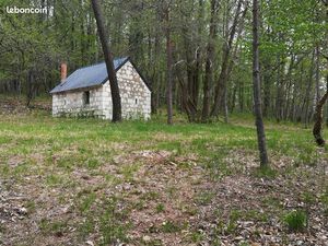 Loue terrain boisé