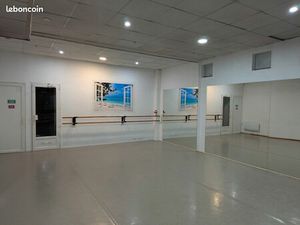 Local commercial ou professionnel 69003-69100