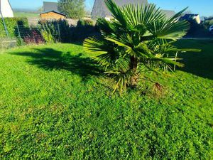 Beau pavillon avec terrain !