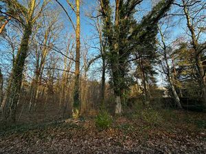 Terrain à bâtir Noisy sur Ecole