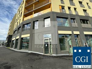 Achat Local Professionnel 302m² ST MARTIN D HERES 38400